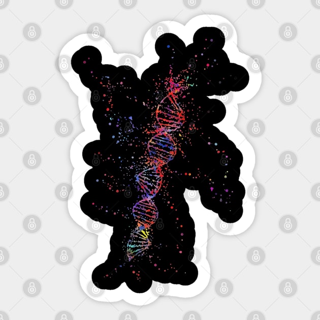 DNA Molecule Sticker by Kevan Hom